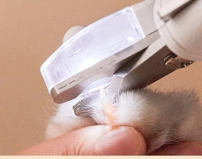 Xiaomi Youpin Professional Pet Nagelknipser Schere Haustier Hund Katze Nagel Zehenklauenknipser