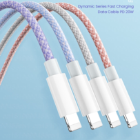 USB C sur Lightning / Schnelle Ladekabel ( 1M )